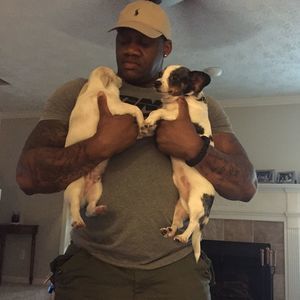 Meet your Posher, Marvin